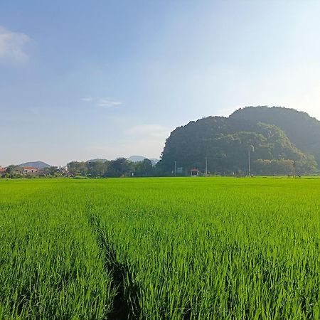 Tam Coc Sunshine Homestay Ninh Binh Exterior foto